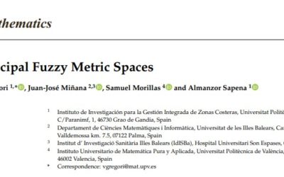 On Principal Fuzzy Metric Spaces
