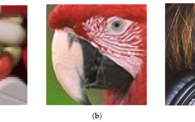 Fuzzy Inference Systems to Fine-Tune a Local Eigenvector Image Smoothing Method